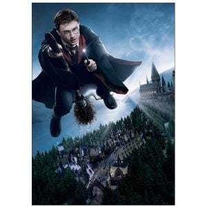 Harry Potter (flying) Movie Poster | Official Art Print A3 A4